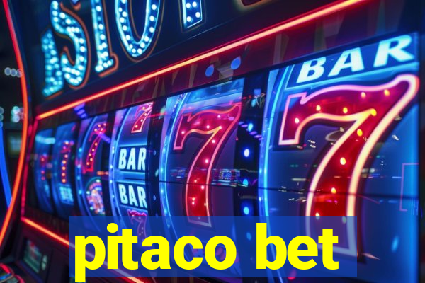 pitaco bet
